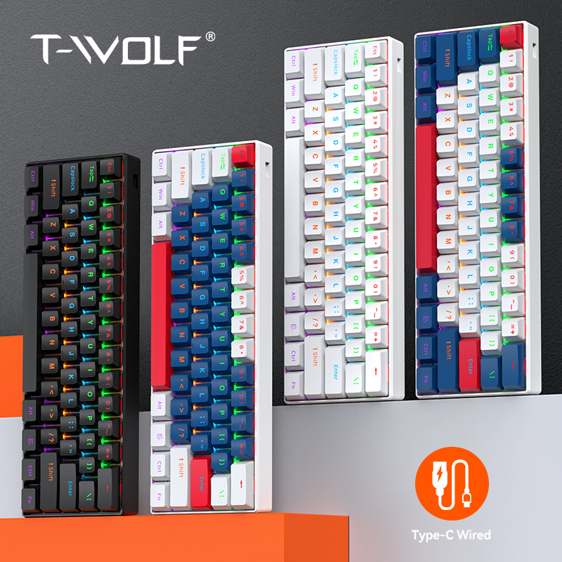 Gaming Keyboard Not Typing - T-WOLF T60 Wired Gaming Keyboard TYPE-C